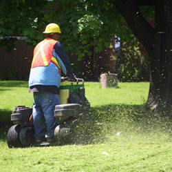 Person on mower