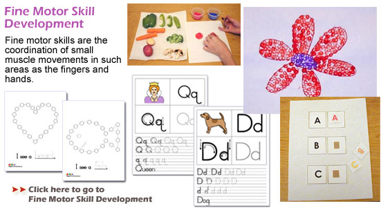Fine Motor