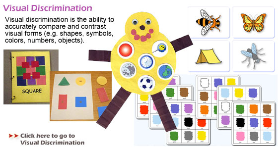 Visual Discrimination